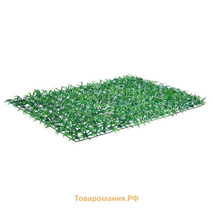 Декоративная панель, 60×40 см, «Трава», Greengo