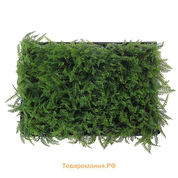 Декоративная панель, 60×40 см, «Сочная трава», Greengo