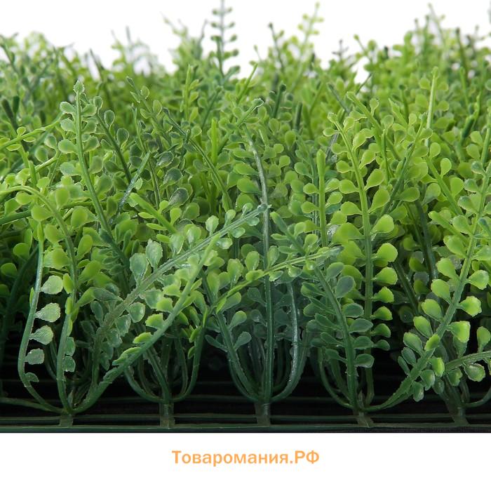 Декоративная панель, 60×40 см, «Сочная трава», Greengo