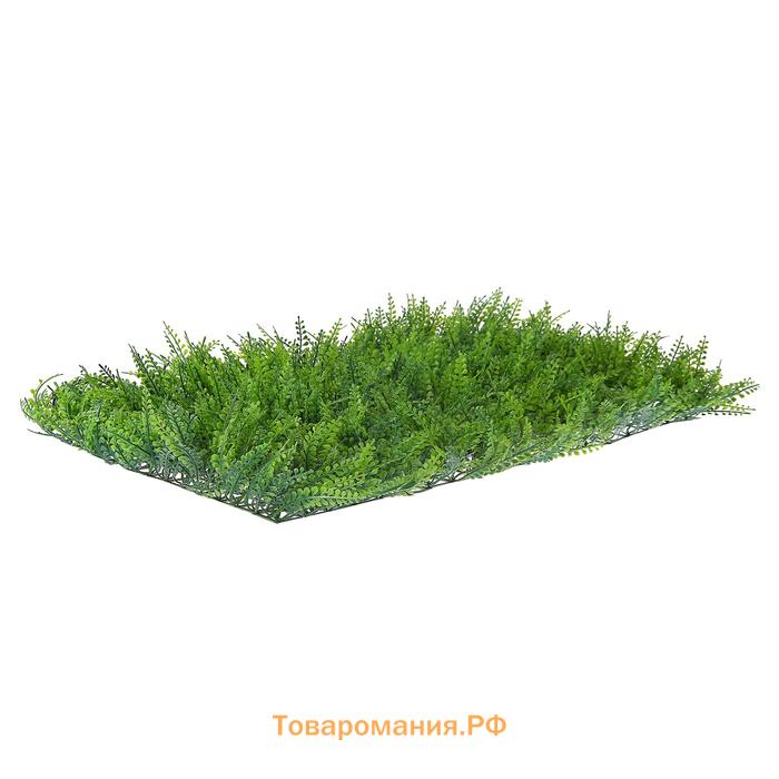 Декоративная панель, 60×40 см, «Сочная трава», Greengo