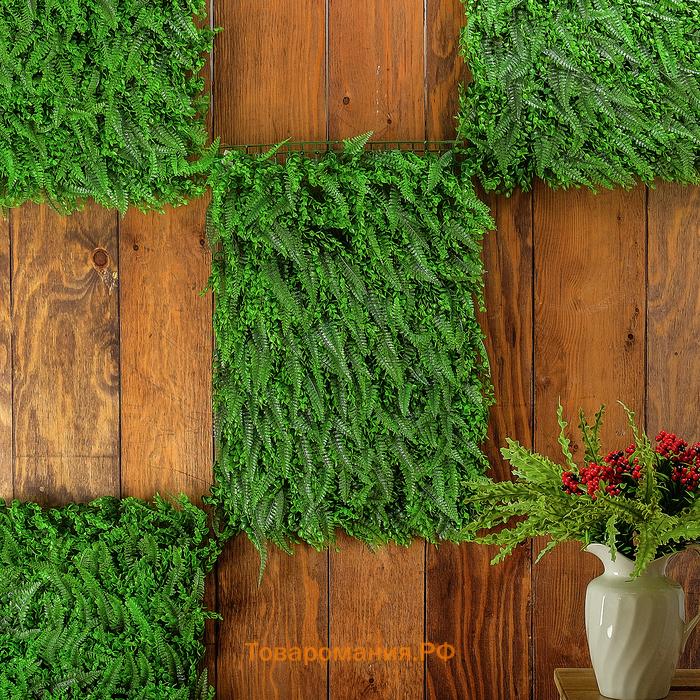 Декоративная панель, 60×40 см, «Самшит, Папоротник», Greengo