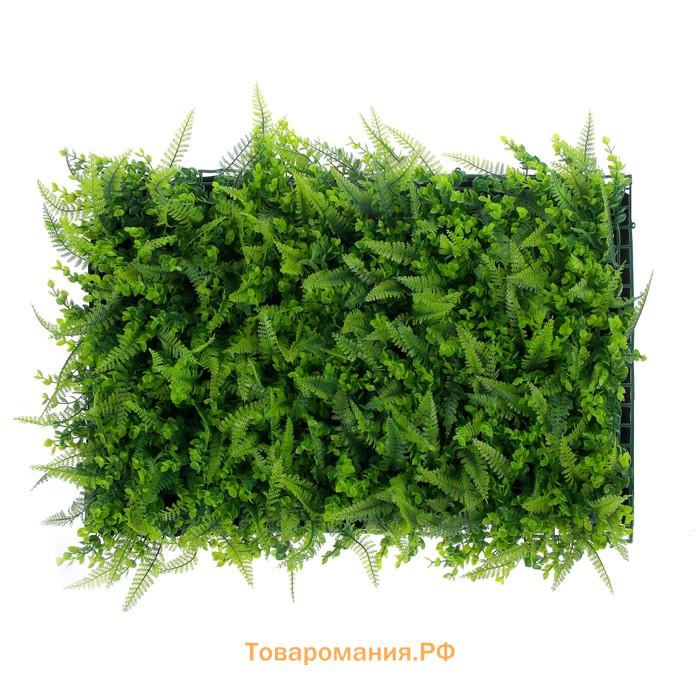 Декоративная панель, 60×40 см, «Самшит, Папоротник», Greengo
