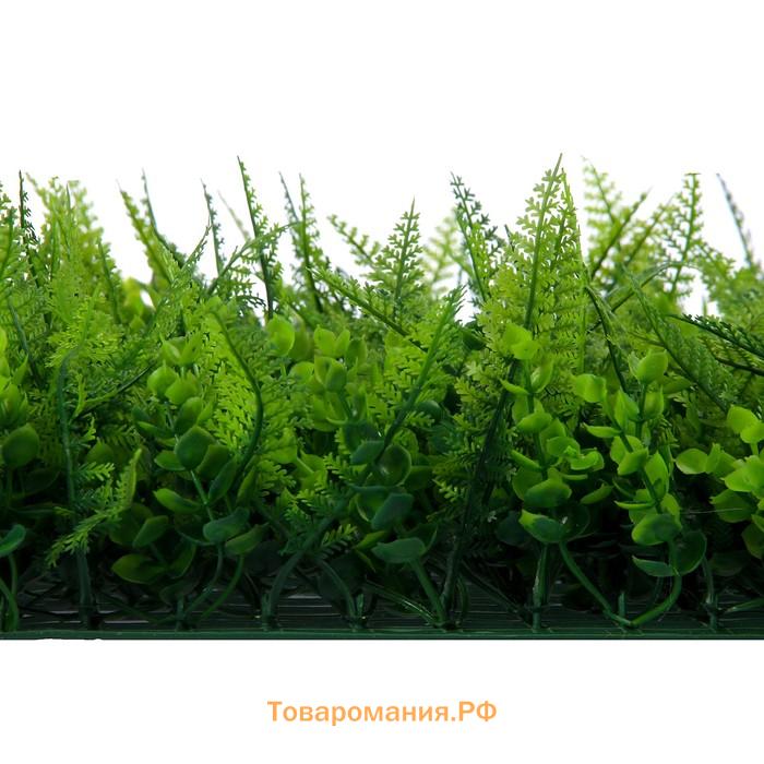 Декоративная панель, 60×40 см, «Самшит, Папоротник», Greengo