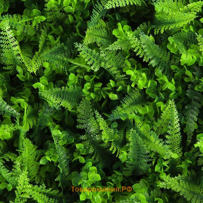 Декоративная панель, 60×40 см, «Самшит, Папоротник», Greengo