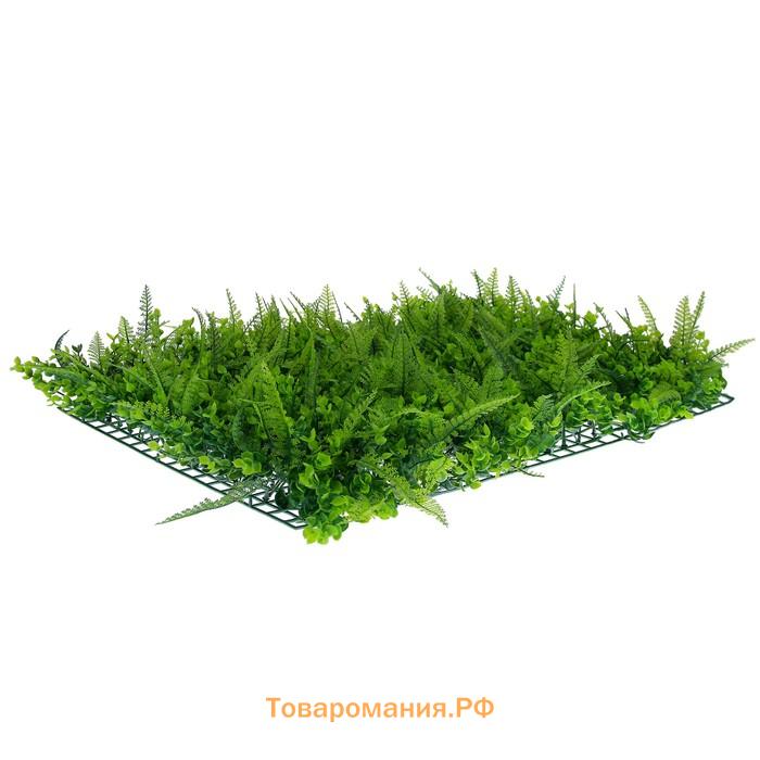 Декоративная панель, 60×40 см, «Самшит, Папоротник», Greengo