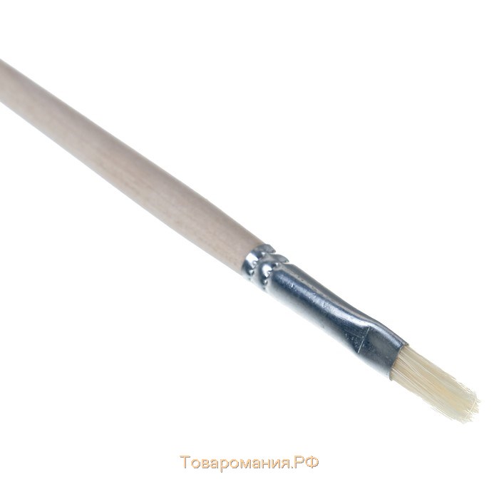 Кисть Щетина плоская № 6 (ширина обоймы 6 мм; длина волоса 14 мм), деревянная ручка, Calligrata