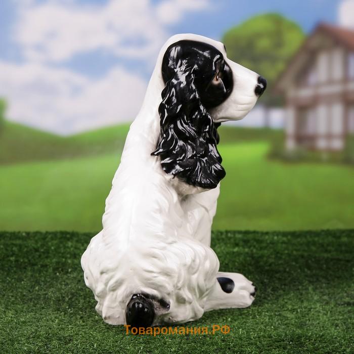 Садовая фигура "Собака Спаниель", бело-чёрный цвет, 34 см, микс