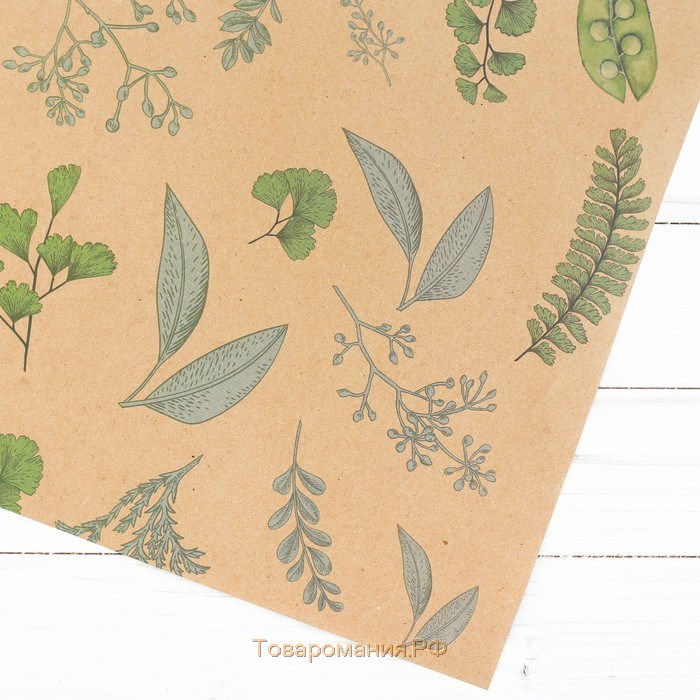 Бумага крафт «Зелёная ботаника», 50 х 70 см