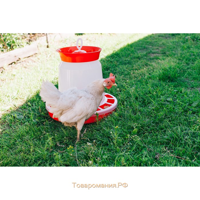 Кормушка бункерная для домашней птицы на 10 кг, пластик