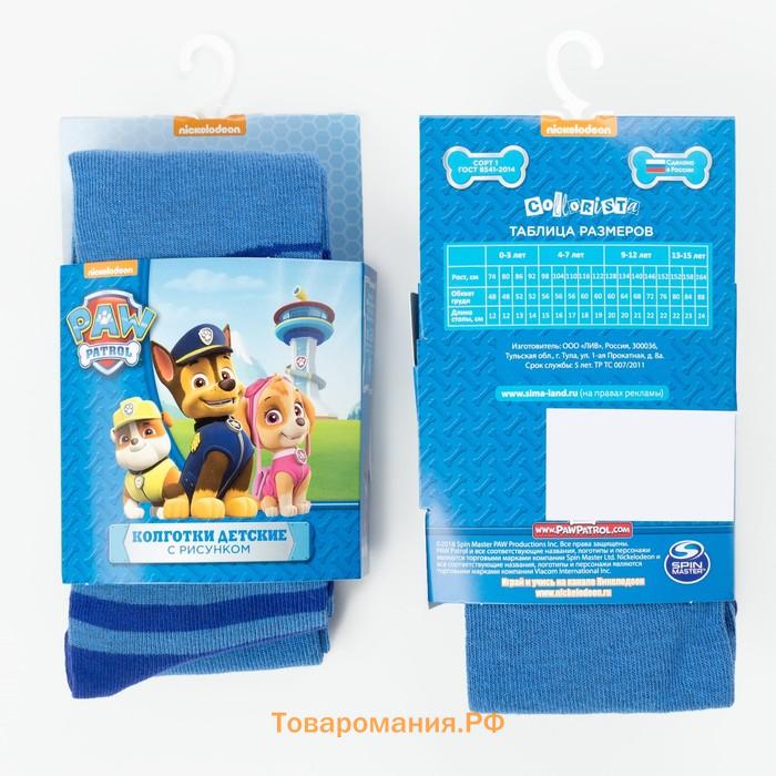 Колготки PAW PATROL «Гончик», цвет голубой, синий, 98-104 см