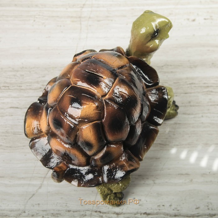Копилка "Черепаха", глянец, зелёная, 17 см