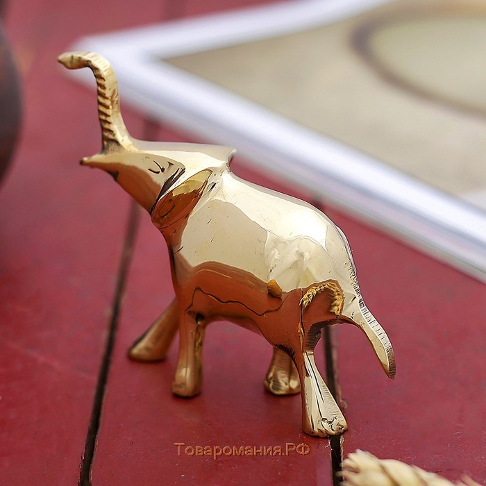 Сувенир "Слон" латунь 9х3,5х8 см