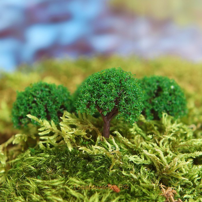 Миниатюра кукольная, набор 4 шт «Дерево» размер 1 шт: 2×2×3,5 см, цвет зелёный
