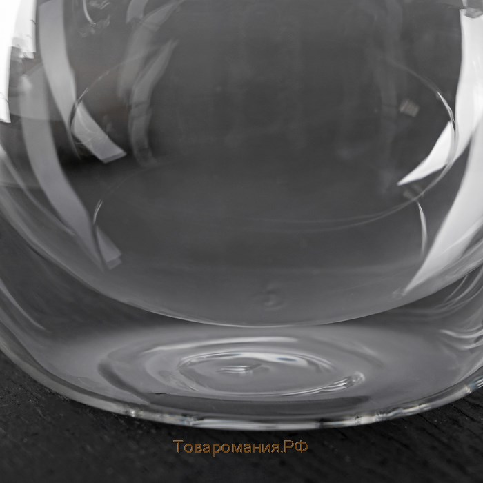 Кружка стеклянная с двойными стенками Magistro «Лиди. Дуо», 200 мл, 12×9,5×6,5 см