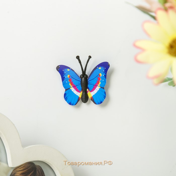 Магнит пластик "Маленькая бабочка" МИКС 4 см