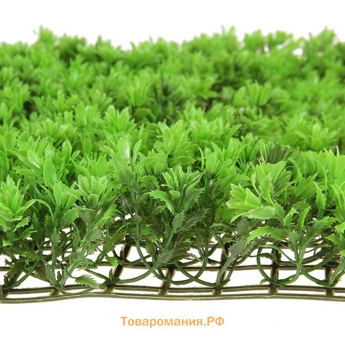 Декоративная панель, 60×40 см, «Высокий мох», Greengo