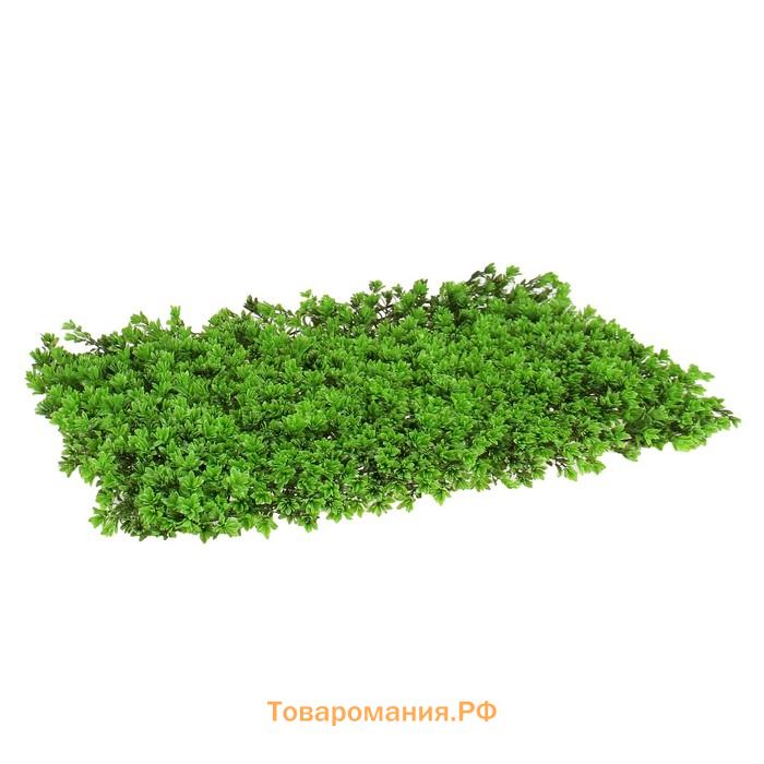 Декоративная панель, 60×40 см, «Высокий мох», Greengo