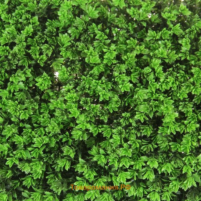 Декоративная панель, 60×40 см, «Высокий мох», Greengo