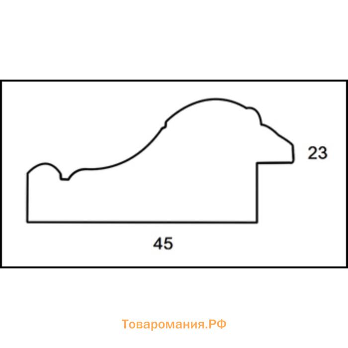 Рама для картин (зеркал) 40 х 50 х 4,5 см, пластиковая, Charlotta, золотая