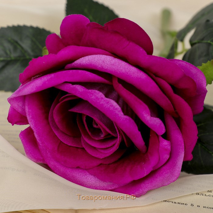 Цветы искусственные "Роза венесуэльская" 8х23 см, фиолетовый