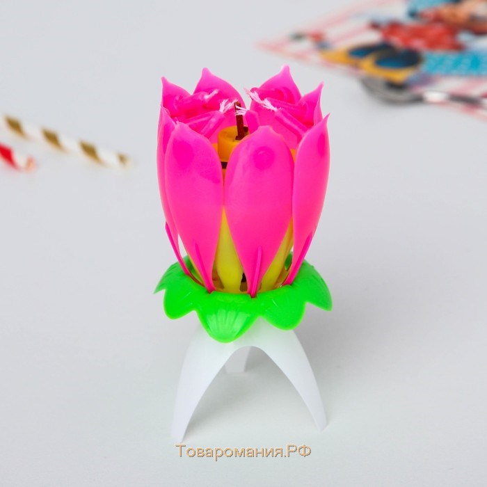 Свеча музыкальный цветок, Феи Винкс, 12.5 х 5.7 см