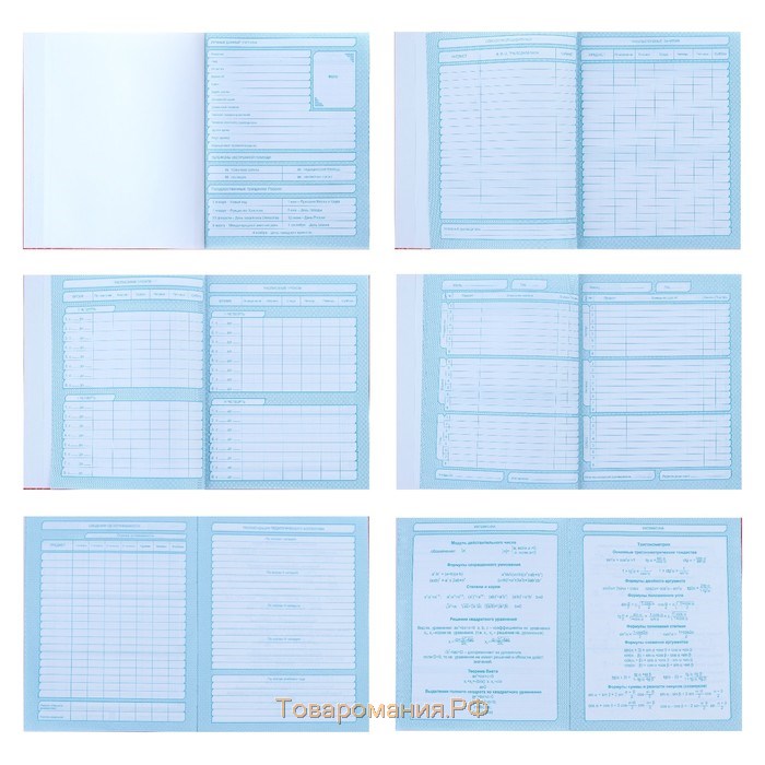 Дневник для 5-11 классов, "Смайл 1", твердая обложка 7БЦ, глянцевая ламинация, 48 листов