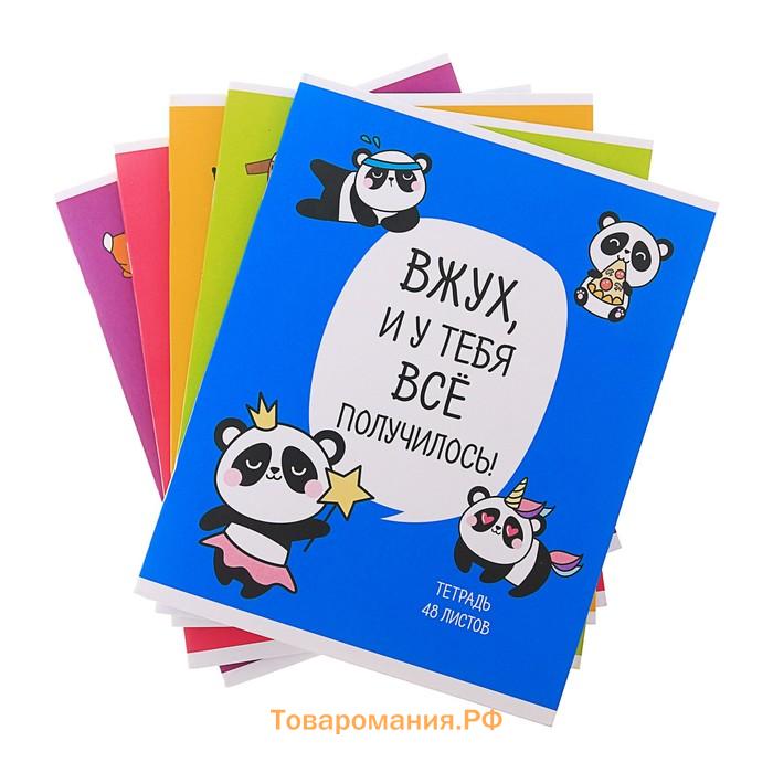 Тетрадь 48 листов в клетку, Calligrata «Лапки», обложка мелованный картон, блок офсет, МИКС