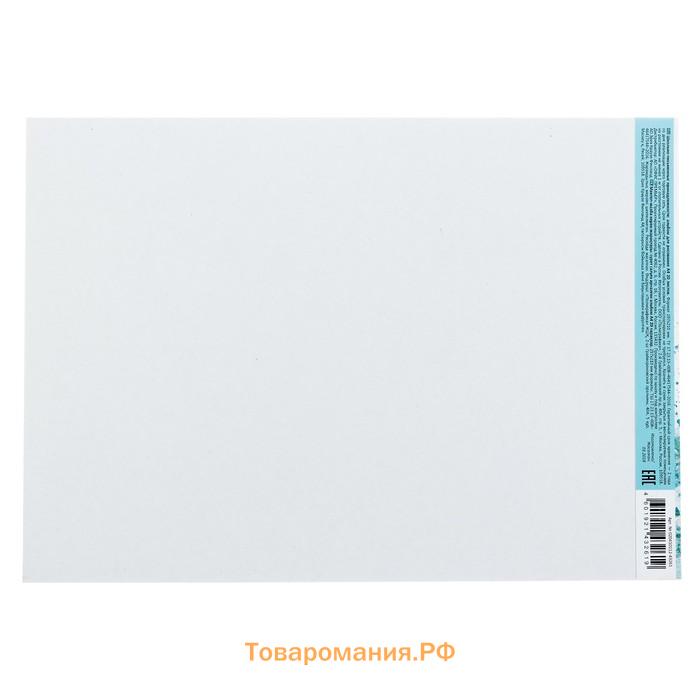 Альбом для рисования А4, 20 листов, блок 120 г/м², на клею, Erich Krause "Птицы жарких стран", 100% белизна, твердая подложка