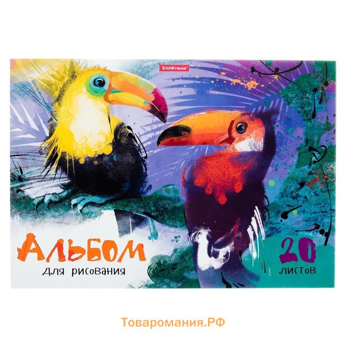 Альбом для рисования А4, 20 листов, блок 120 г/м², на клею, Erich Krause "Птицы жарких стран", 100% белизна, твердая подложка