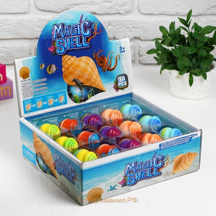 Растущие игрушки "Рыбки в цветной ракушке" 3,5×3,5×5,5 см МИКС