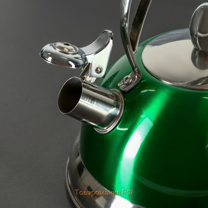 Чайник со свистком «Гросс», объём 3 л, капсулированное дно, индукция, цвет микс