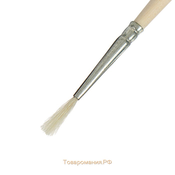 Кисть Коза круглая №1 (диаметр обоймы 1 мм; длина волоса 10 мм), деревянная ручка, Calligrata