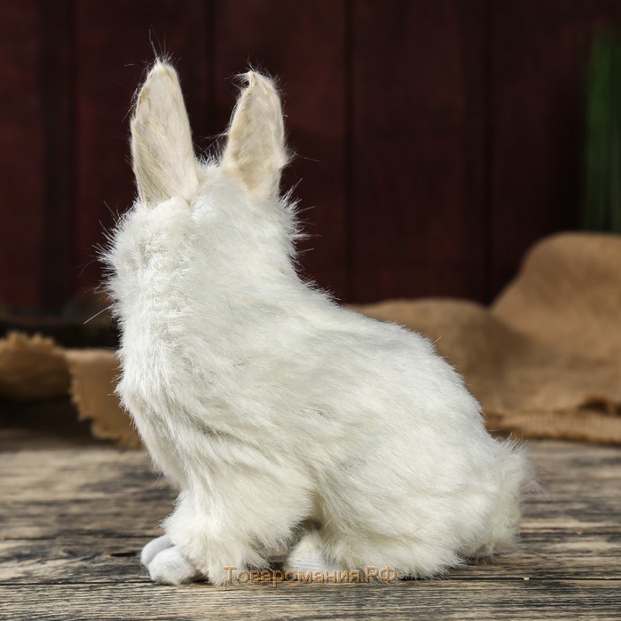 Цвет шерсти зайца. Шерсть зайца. Зайчик искусственный мех. Пушистый заяц. Заяц белый мех.