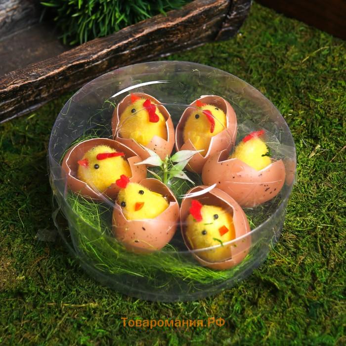 Сувенир пасхальный "Цыплята в яйце на травке" набор 6 шт 4,5х14х14 см