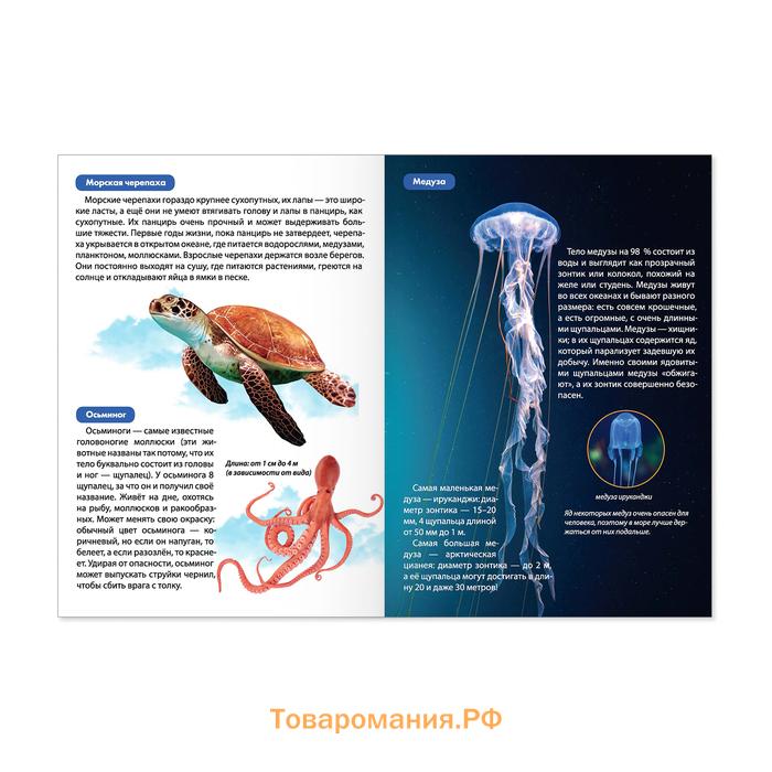 Мини - энциклопедии «Мир животных», набор 6 шт. по 20 стр.
