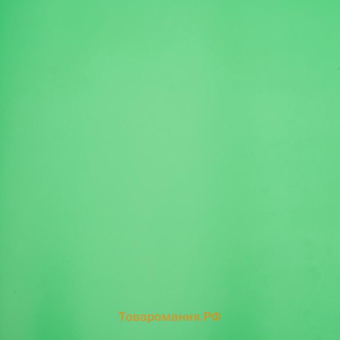 Бумага глянцевая, однотонная, 49 х 70 см. зелёная