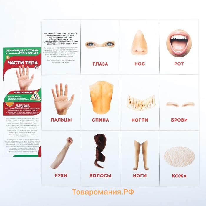 МИКС Обучающие карточки по методике Глена Домана «Расширяем кругозор», 10 штук, А6, 2+