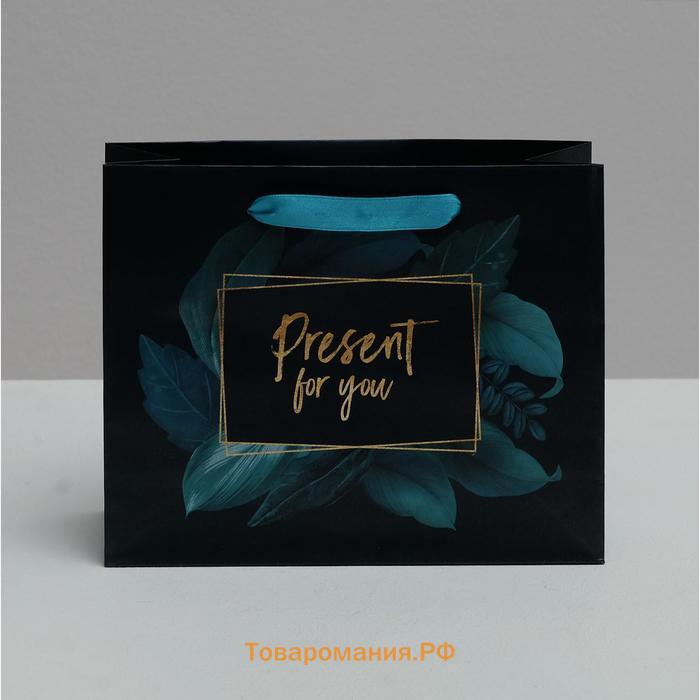 Пакет подарочный ламинированный горизонтальный, упаковка, «Present for you», 22 х 17.5 х 8 см