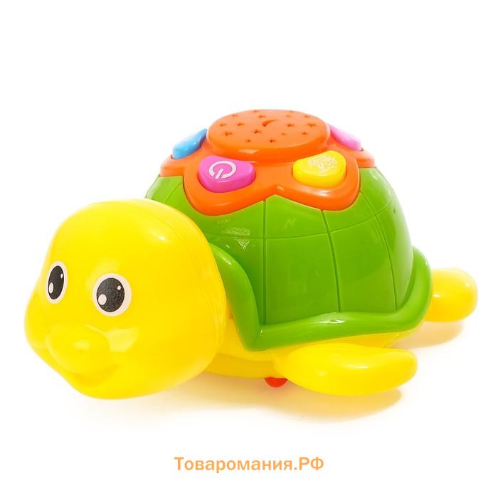 Игрушка «Озорная черепаха», с проектором, подсветка, звуковой эффект в корпусе, МИКС