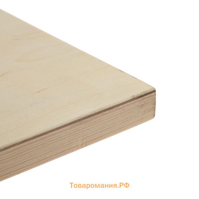 Планшет деревянный 50 х 80 х 2 см, фанера (для рисования эпоксидной смолой)