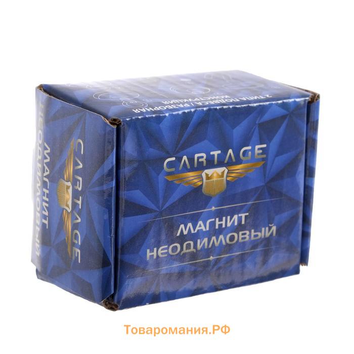 Магнит неодимовый Cartage с петлёй для авто, d 48 мм, сцепление 35 кг