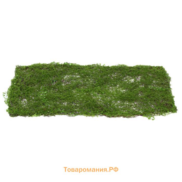 Декоративная панель, 90×40 см, «Мох», Greengo