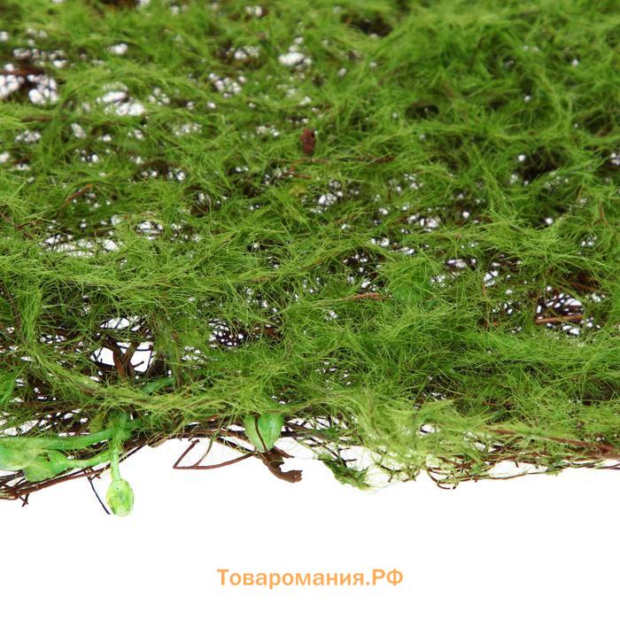 Декоративная панель, 90×40 см, «Мох», Greengo