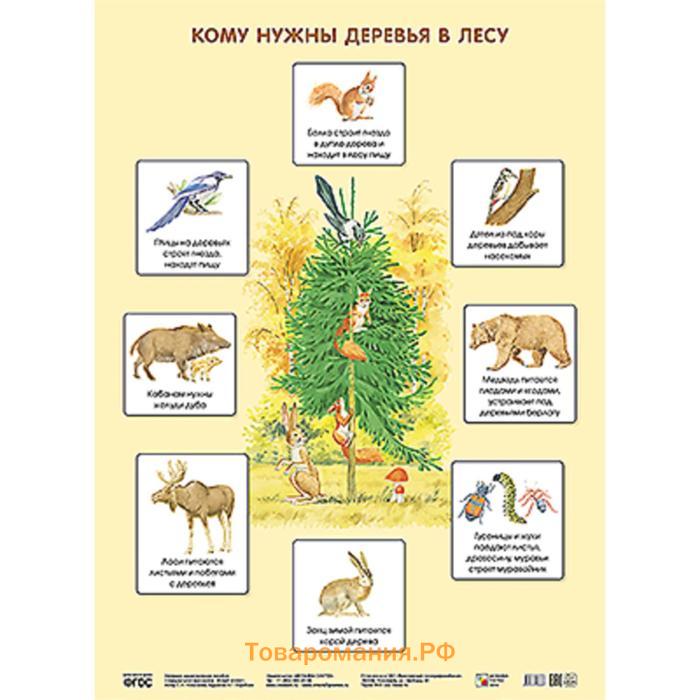 Кому нужны деревья в лесу картинки для детей