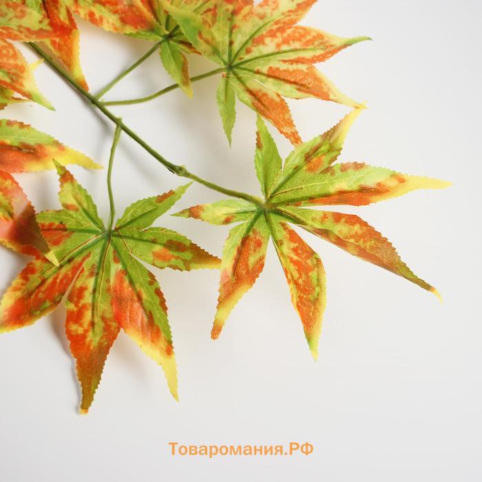 Декор «Листья на ветке» цвет зелёно-жёлто-оранжевый