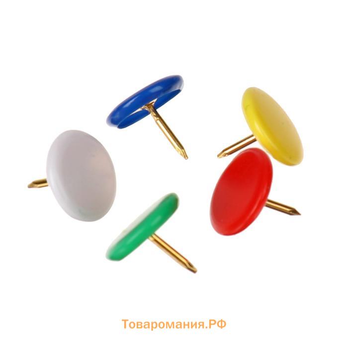 Кнопки канцелярские 10 мм с цветной пластиковой головкой, в пластиковой баночке 100 штук