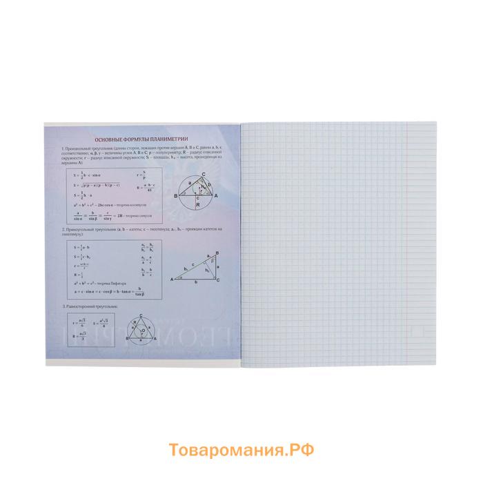 Тетрадь предметная 48 листов в клетку, Calligrata «Доска. Геометрия», обложка мелованный картон
