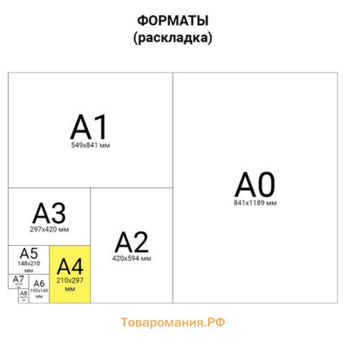 Бумага А4 500 л, DOUBLE A, 80 г/м2, белизна 163% CIE, класс А+