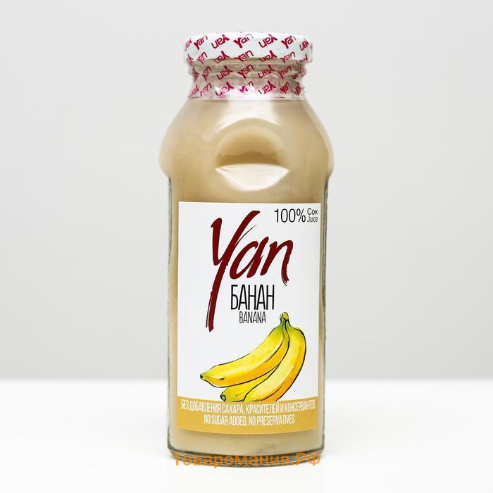 Нектар банан. Сок Yan банан. Нектар Yan вишневый 250 мл. Натуральный банановый сок. Банановый сок Santal.