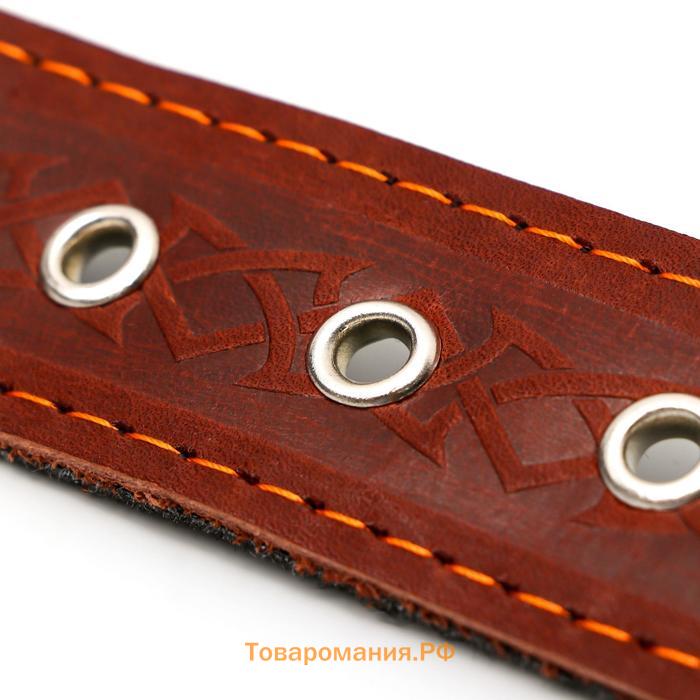 Ошейник кожаный на фетре украшеный, 65 х 3,5 см, ОШ 50-60 см, коричневый